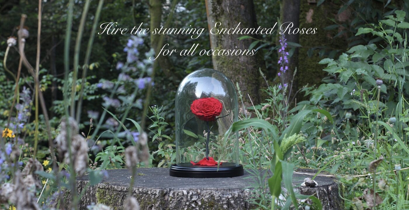 Eternal Roses – Timeless & Treasured Real Roses.